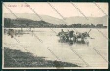 Turin Candia ox cart postcard
