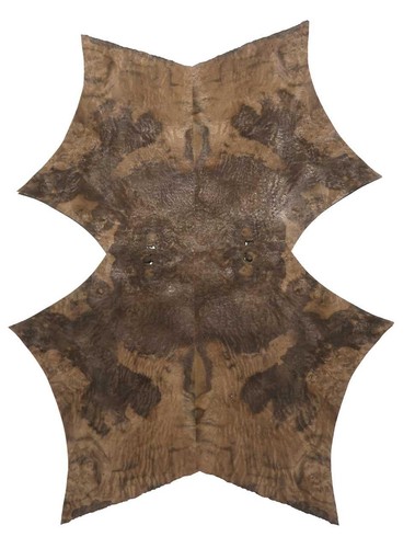Veneer radica noce - di, di