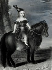 Giovane Cavaliere Incisione