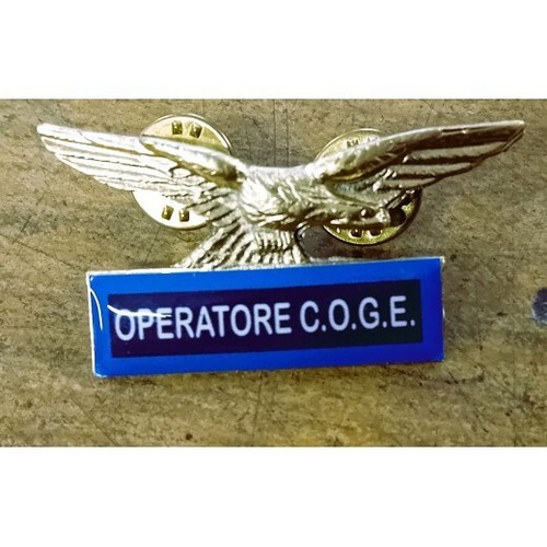 Spilla aquila guardia giurata - guardia,