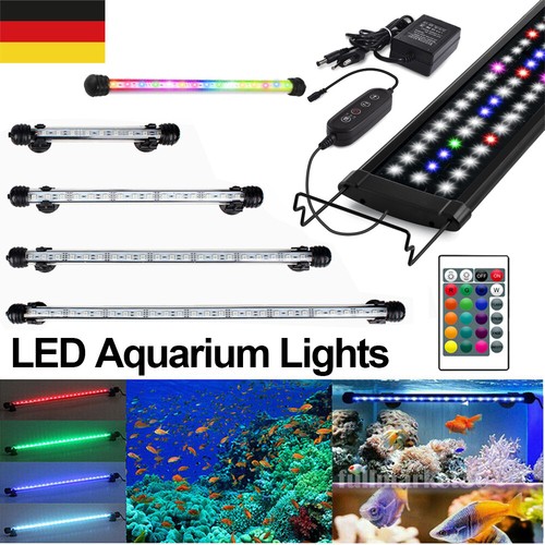 Lampada illuminazione acquario