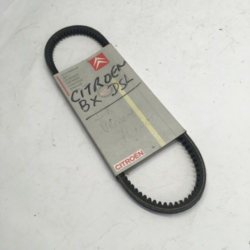 Cinghia alternatore - cinghia, v