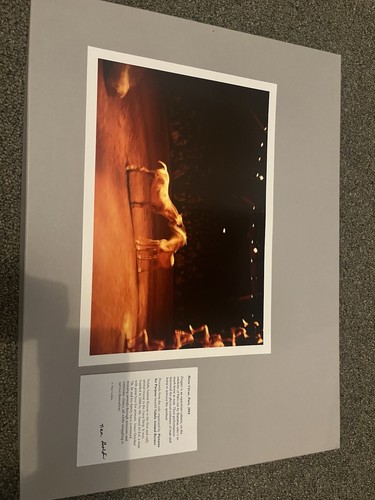 Nan goldin horse - nan,