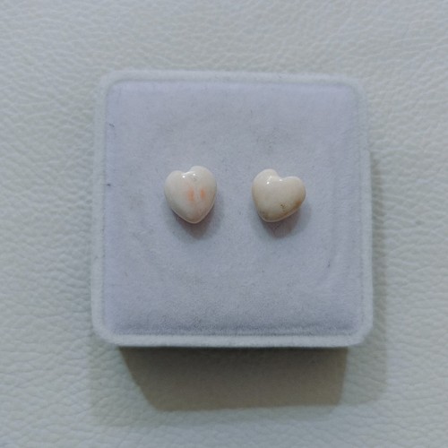 Autentico corallo bianco - , a