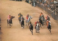Postcard Siena Il Palio La