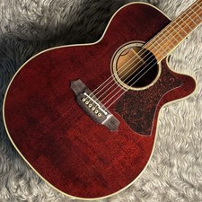 Takamine DMP512 chitarra acustica