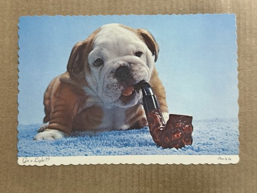 Cartolina bulldog cucciolo - bulldog,