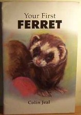 Your First Ferret