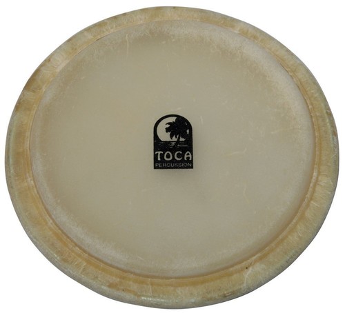 Conga pelli percussioni - pelli,