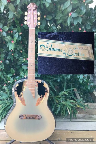 Chitarra elettrica acustica