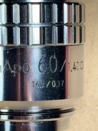 Obiettivo microscopio nikon - microscopio,