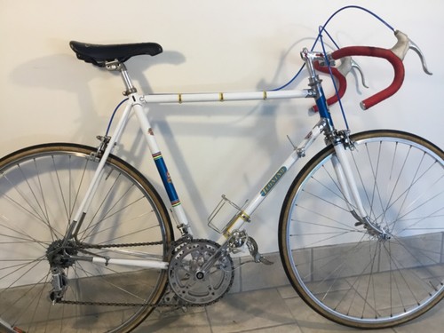 Leonino modena corsa 57x57 - da,