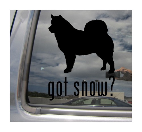 Black got snow alaskan - black, snow?