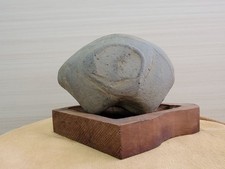 Bonsai di Suiseki Bonseki