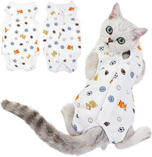 Recovery Suit Gatto Body Dopo