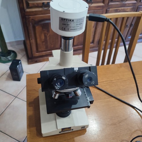 Olympus microscopio - ch,
