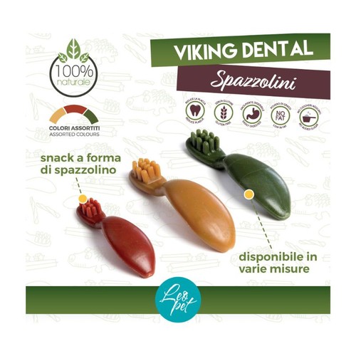 Leopet viking dental