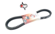 Cinghia di trasmissione ONE per Piaggio Beverly Carnaby Aprilia Sport City 200