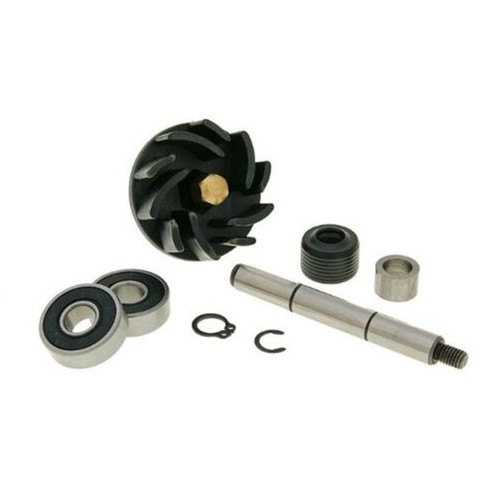 Kit revisione pompa acqua - revisione,