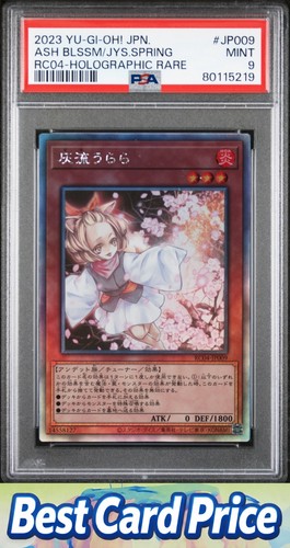 2023 ash blossom - blossom, &