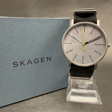 Skagen Signatur Watch Men 40mm
