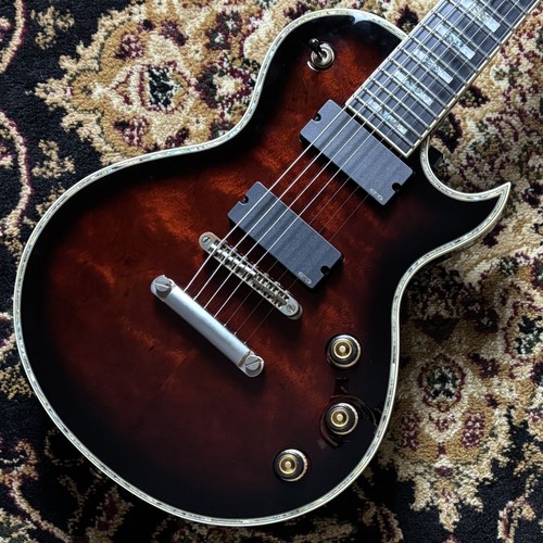 Ibanez immagine autentica - immagine,