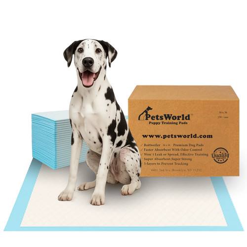 Petsworld pee pads - pads, cani