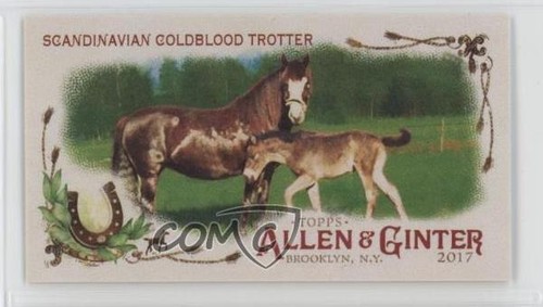 2017 allen ginter horse in - &,