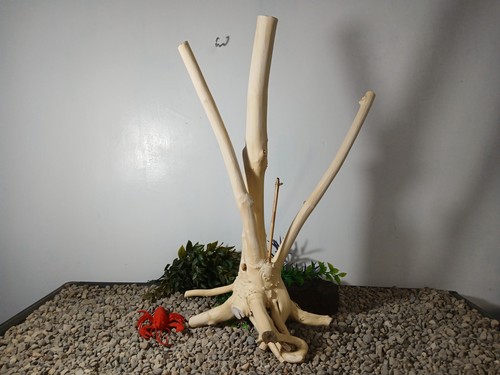 Driftwood acquario pesci - , e