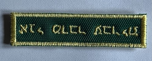 Cngei scout distintivo - scout, di