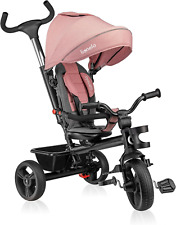 Haari 2 in 1 Triciclo Bici E