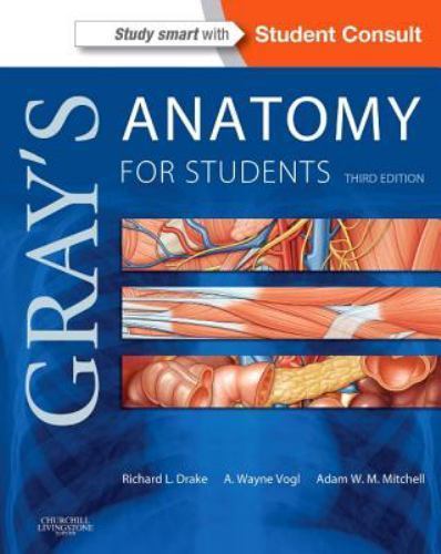 Gray anatomy ser s - gray's,
