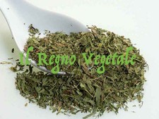 Stevia rebaudiana foglie t - stevia,