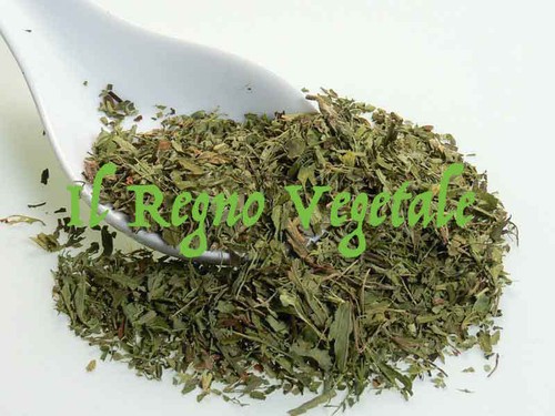 Stevia rebaudiana foglie t - rebaudiana, t.t