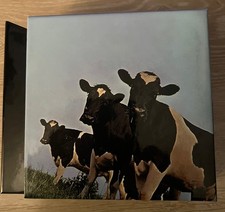 Pink Floyd Diskunion Japan