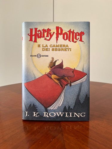 Harry potter camera dei - harry, e