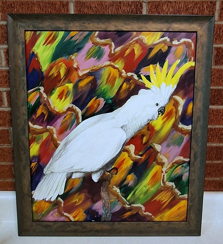 Grande pappagallo cacatua