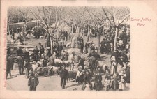 Turin Torre Pellice Livestock