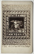 Italia Pompei Mosaico Casa Del Fauno C1865 Foto Formato Cdv Vintage Albumina