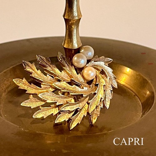 Spilla capri vintage - spilla,