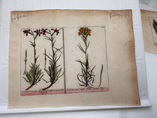 Piatto originale XIX secolo