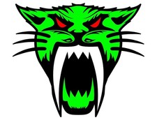 Adesivo gatto artico