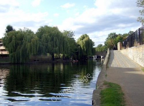 Photo 6x4 willows over the - 6x4,