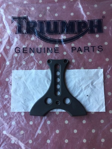 Triumph 900 legend thunderbird - 900,