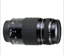 Teleobiettivo Canon EF 75-300mm f/4-5.6 USM in perfette Condizioni