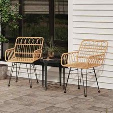 vidaXL Sedie da Giardino 2pz con Braccioli 56x64x80 cm Rattan PE