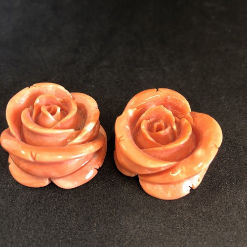 Rose corallo cerasuolo - rose,