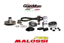 GRUPPO TRASMISSIONE OVER RANGE SCOOTER PIAGGIO CARTER LUNGO MALOSSI 6118835