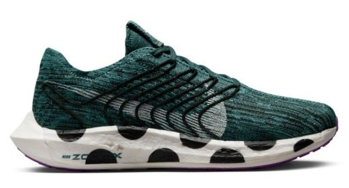 Dm3413 300 nike zoom pegasus - nike,