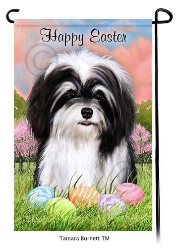 Bandiera giardino havanese - giardino,